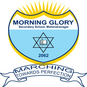 Morning Glory